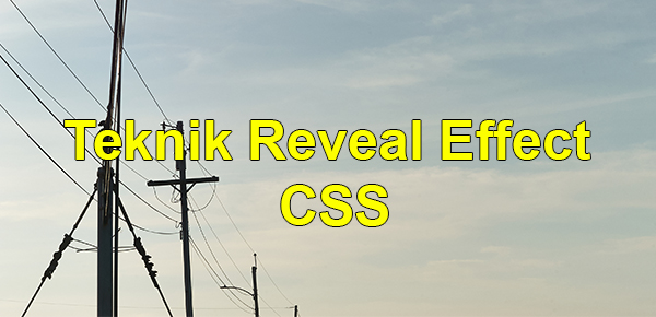 Teknik Reveal Effect CSS